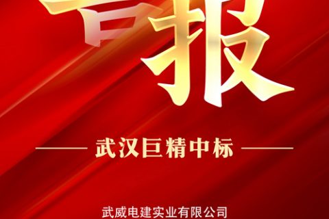 热烈祝贺凯时K66中标武威电建实业有限公司2022年第四批物资类竞争性谈判项目